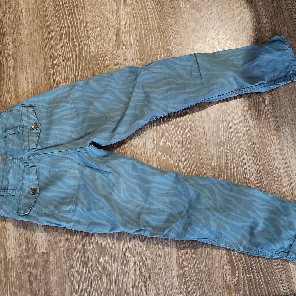 Anthropologie Teal Tiger Stripe Cargo Pant